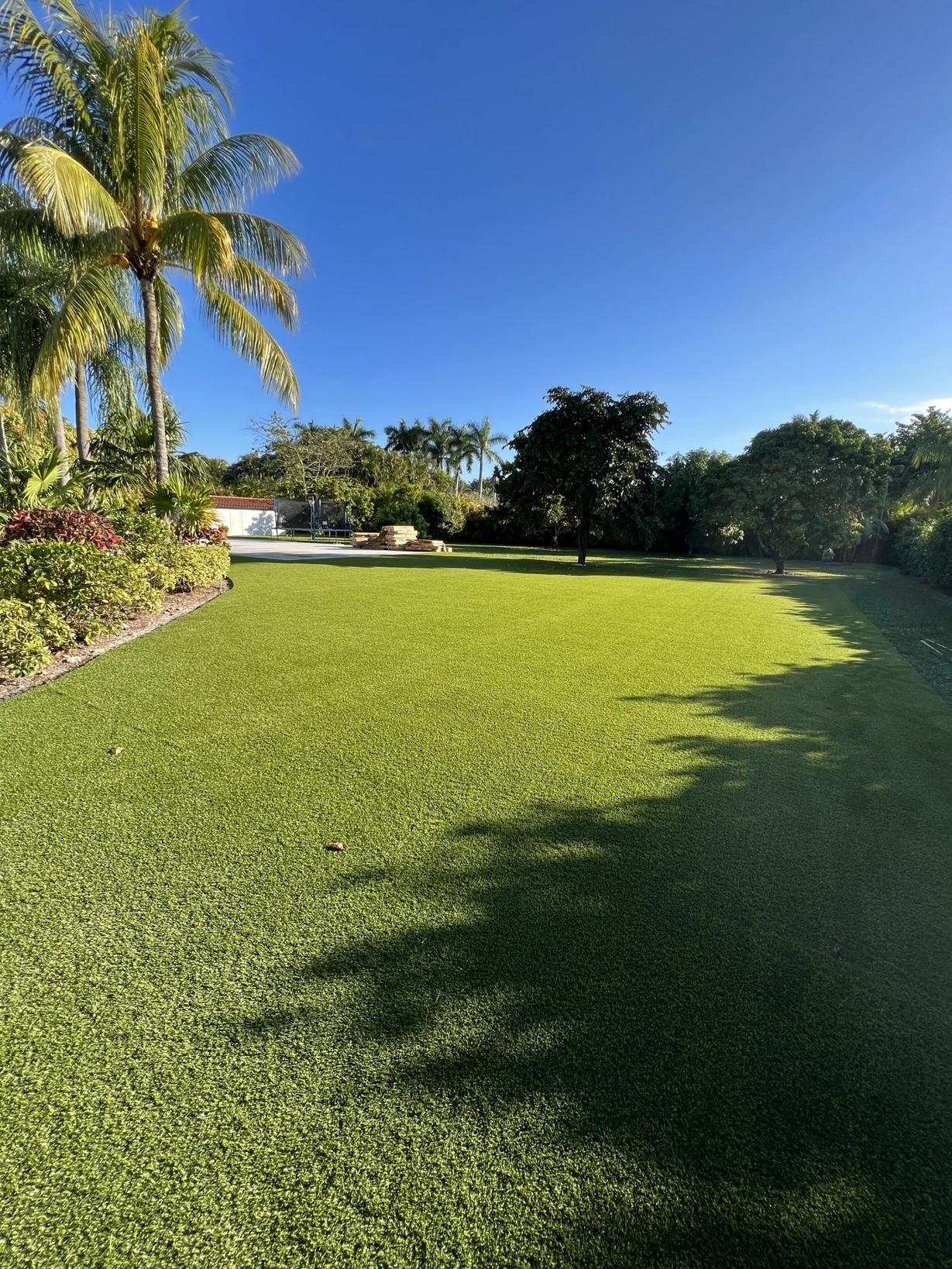 Artificial Grass