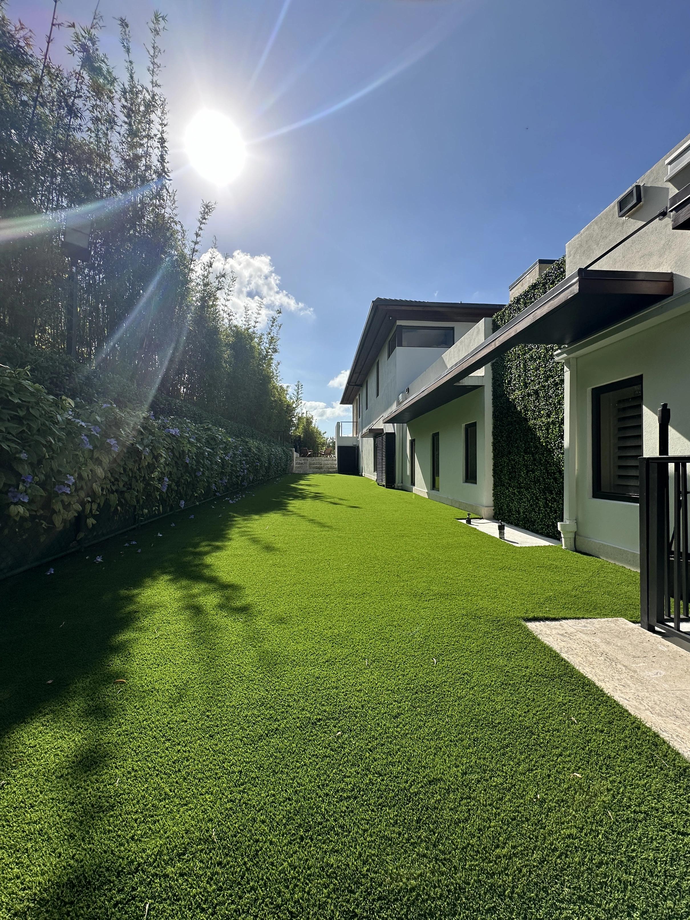 Artificial Grass